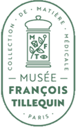 Société des Amis du Musée François Tillequin Logo