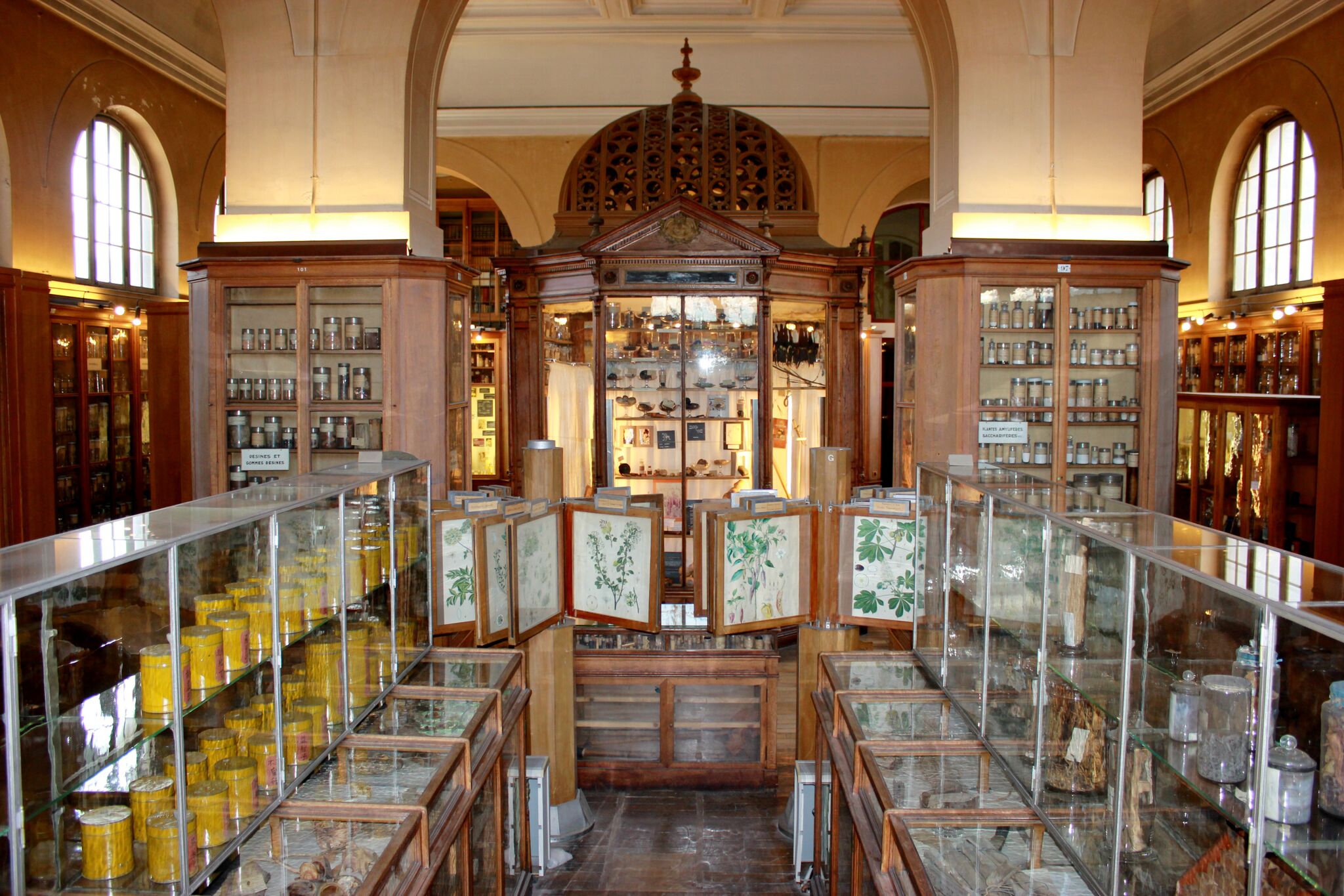 4 Avenue De L Observatoire 75006 Paris Le Musée – Société des Amis du Musée François Tillequin